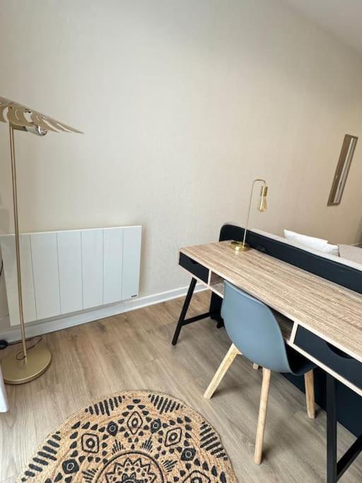 שאלון-סור-סאון Appartement Avec Magnifique Vue Sur La Saone Et Son Balcon מראה חיצוני תמונה