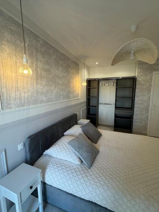 שאלון-סור-סאון Appartement Avec Magnifique Vue Sur La Saone Et Son Balcon מראה חיצוני תמונה