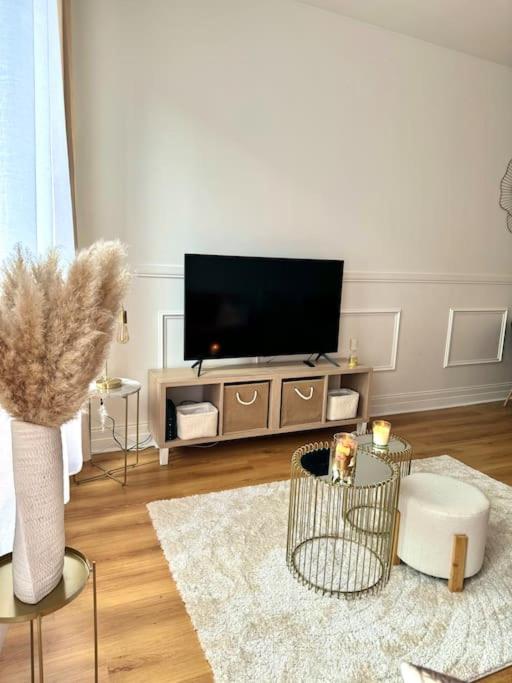 שאלון-סור-סאון Appartement Avec Magnifique Vue Sur La Saone Et Son Balcon מראה חיצוני תמונה